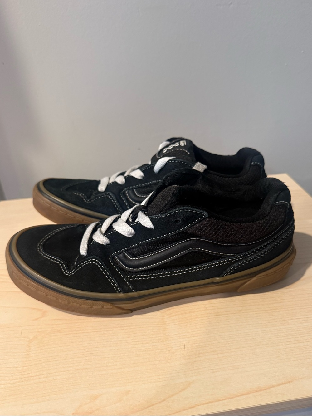 Vans Black with Gum Low-Top Skate Sneakers